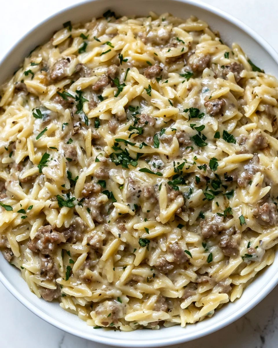 Simple One-Pot Sausage Orzo Delight - additional image