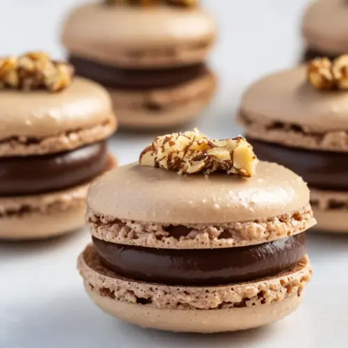 Chocolate Hazelnut Macarons