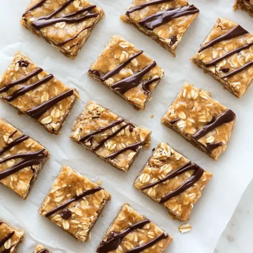 Protein Granola Bars