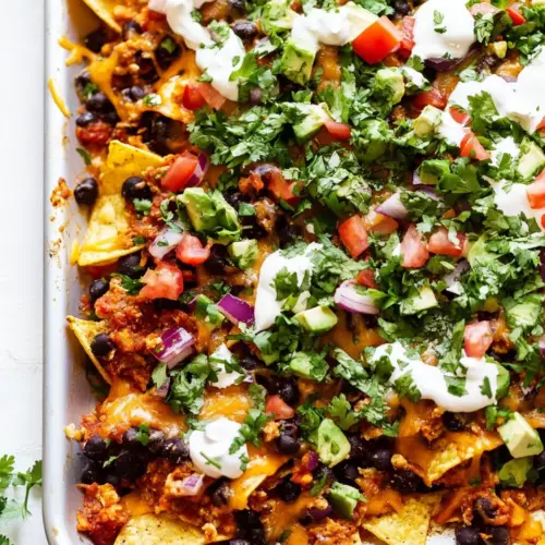 Vegetarian Nachos