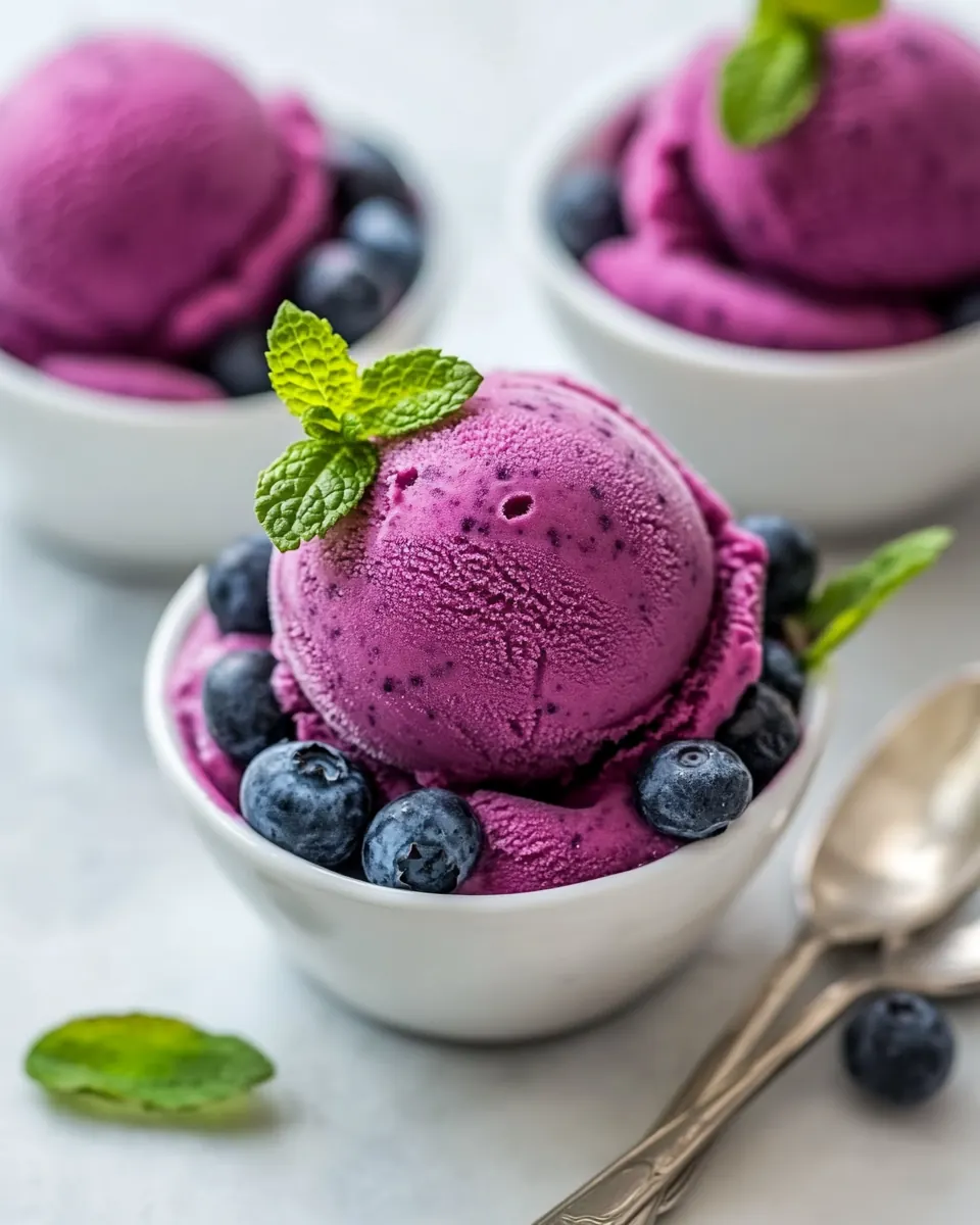 Blueberry Frozen Yogurt