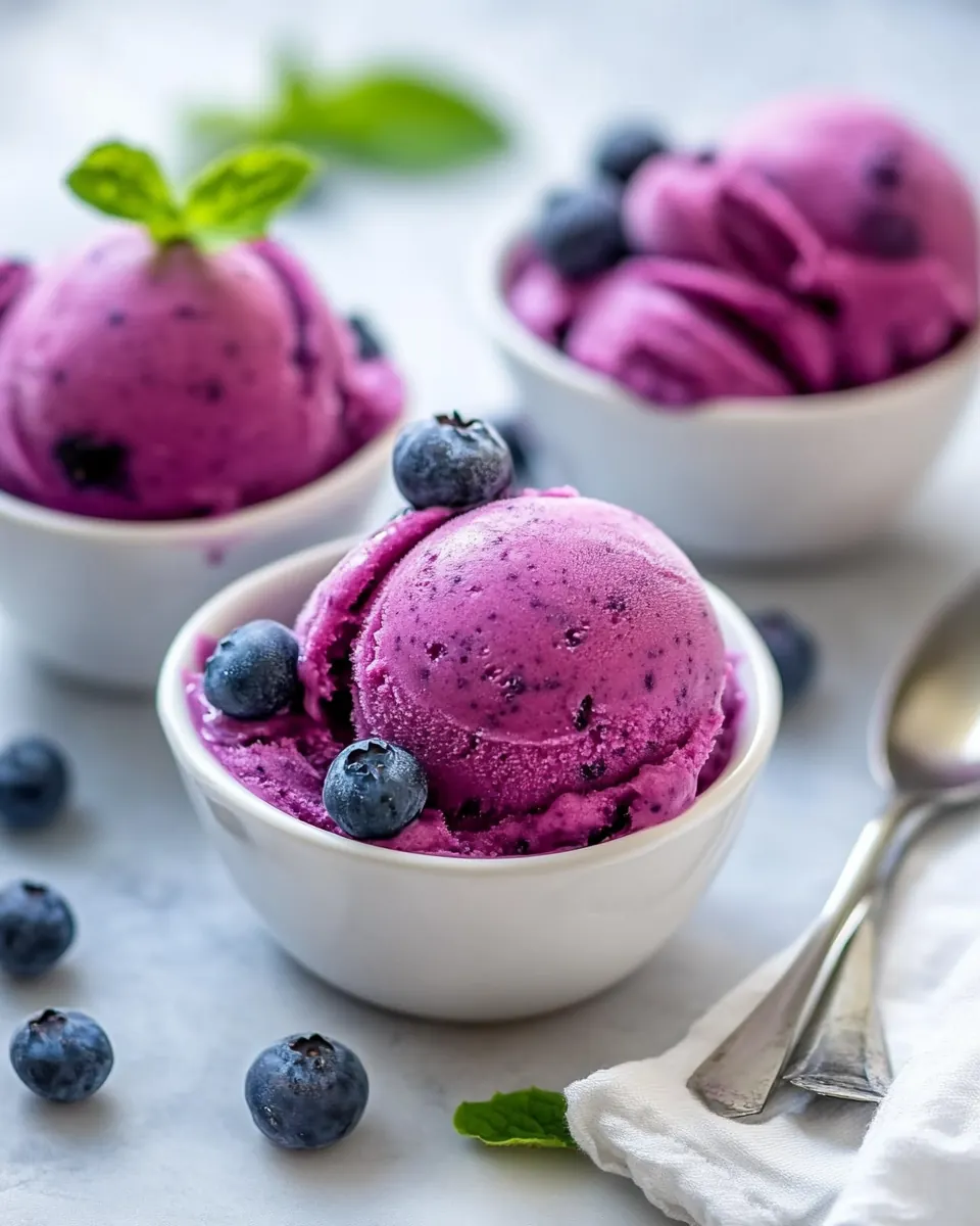 Blueberry Frozen Yogurt