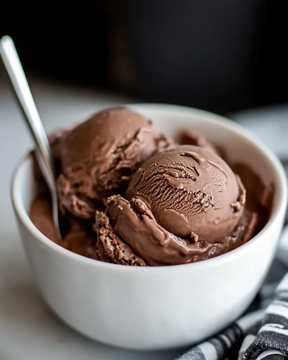 Chocolate Frozen Yogurt