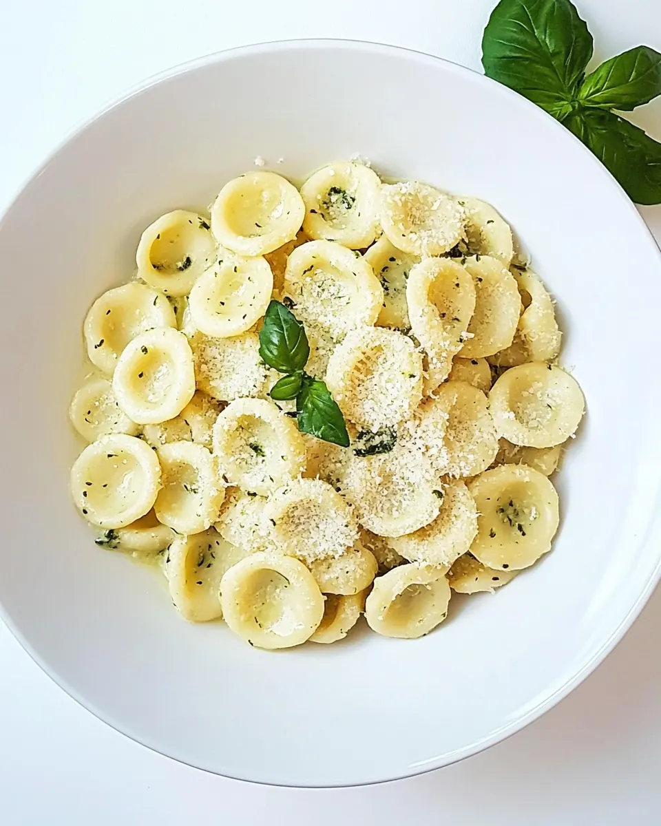 Creamy Zucchini Orecchiette