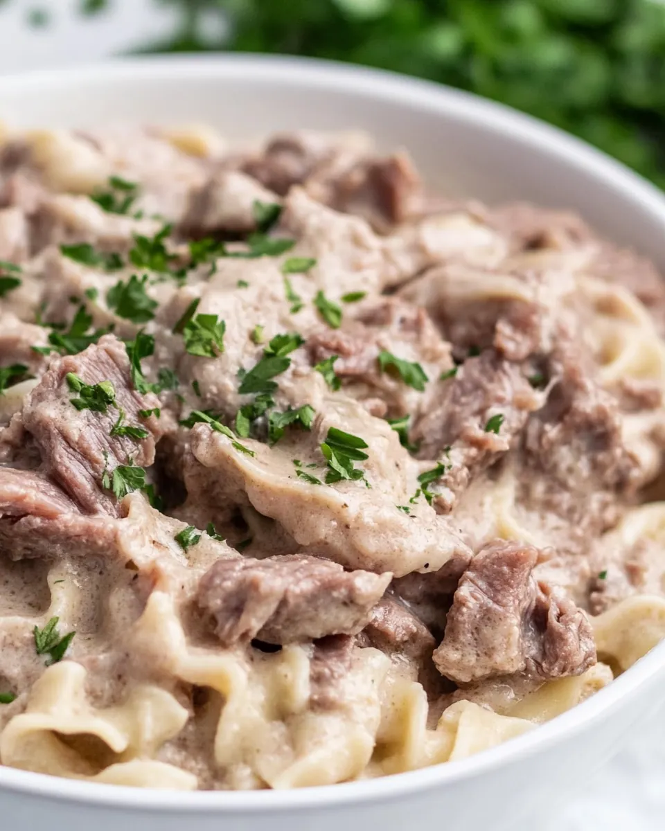 Crock Pot Beef and Noodles