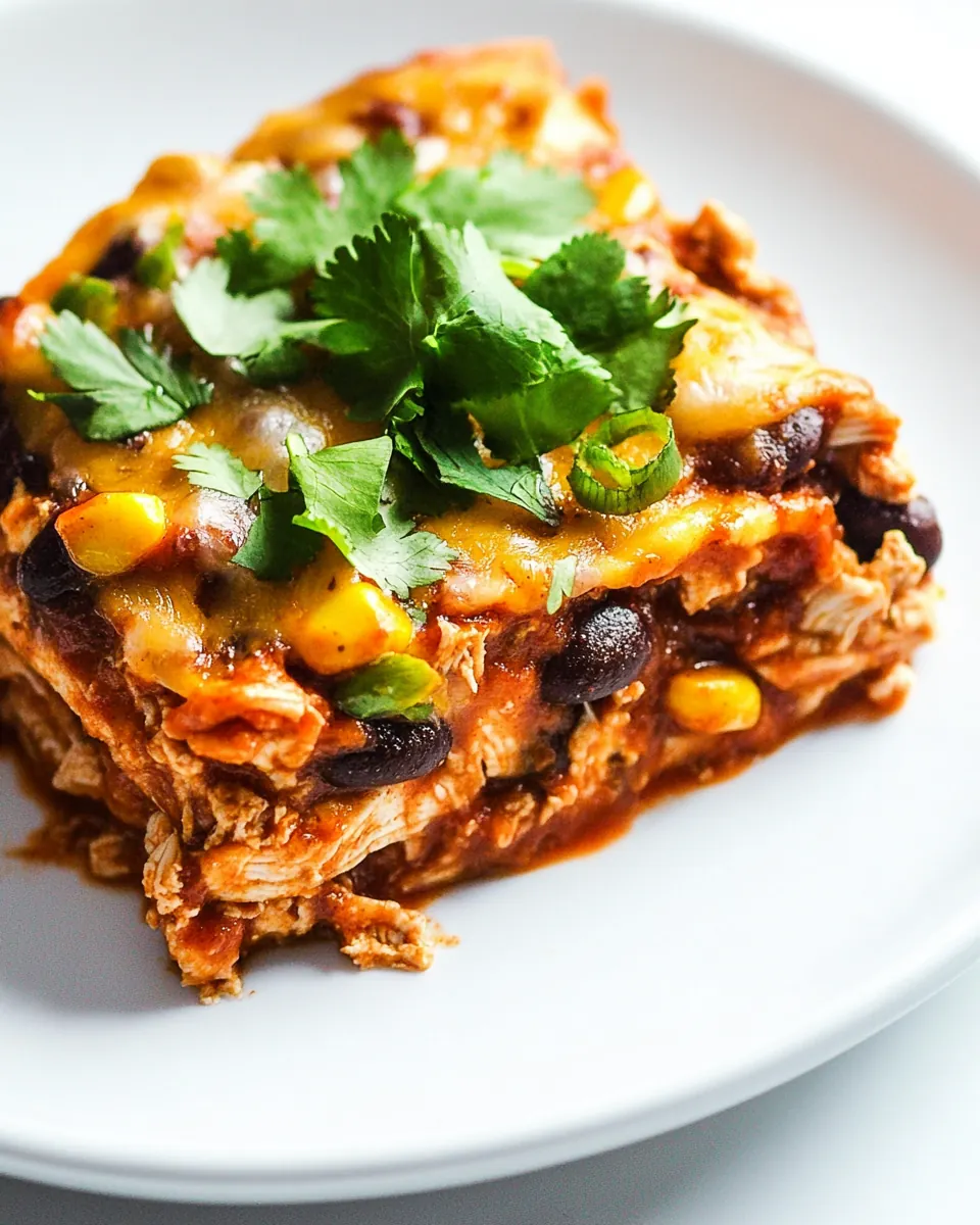 Crockpot Chicken Enchilada Casserole