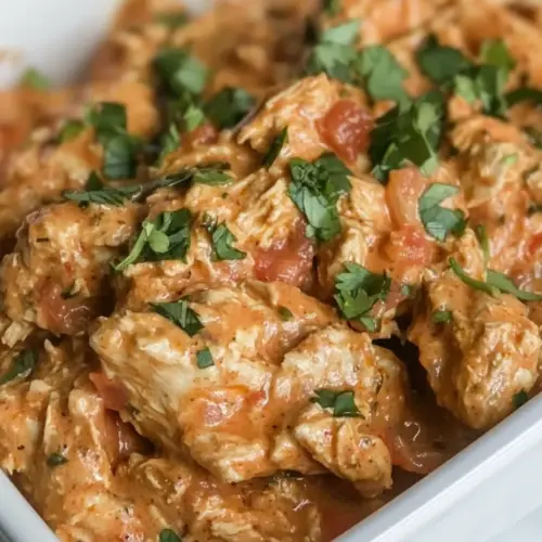 Crockpot Salsa Chicken