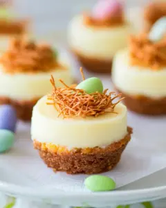 Easter Bird's Nest Mini Cheesecakes