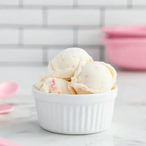 Favorite Vanilla Frozen Yogurt