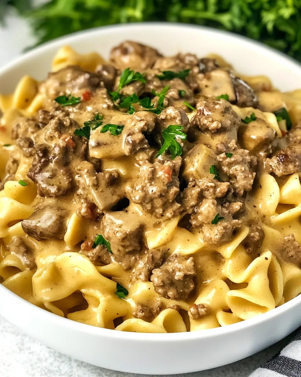 Instant Pot Beef Stroganoff