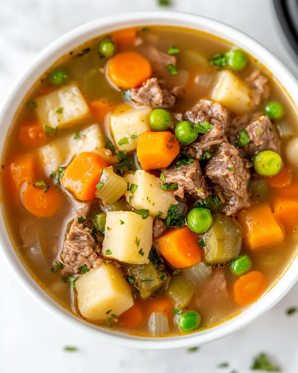 Instant Pot Beef and Vegetable Soup