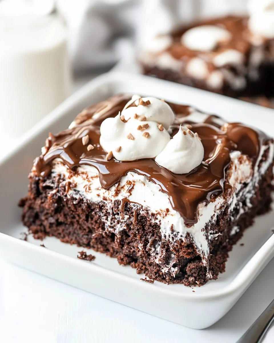 Mississippi Mud Cake
