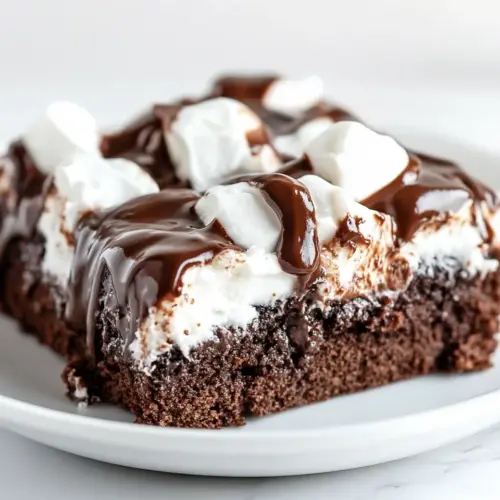 Mississippi Mud Cake