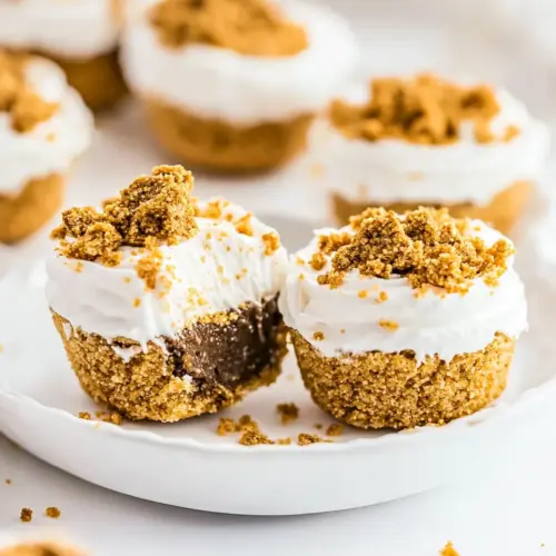 No bake Cheesecake Bites with Graham Cracker Crust