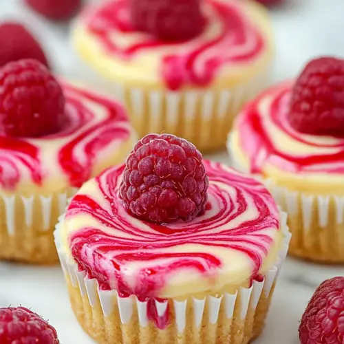 Raspberry Swirled Mini Cheesecakes