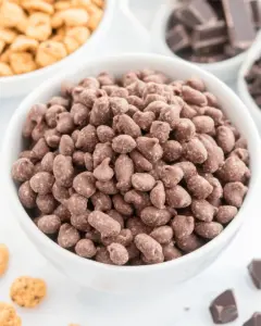 Reindeer Poop Chocolate Snack Mix