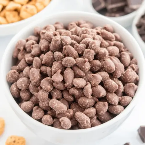Reindeer Poop Chocolate Snack Mix