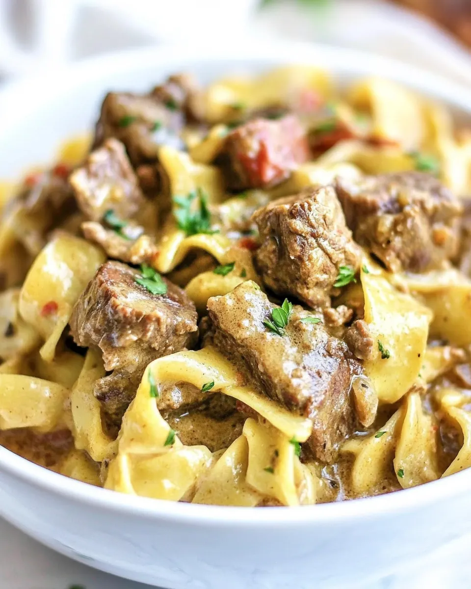 Slow Cooker Beef and Noodles