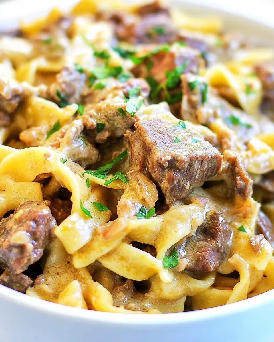 Slow Cooker Beef and Noodles