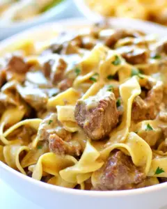 Slow Cooker Beef and Noodles