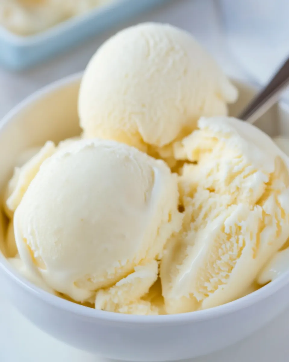 Sugar Free Frozen Yogurt