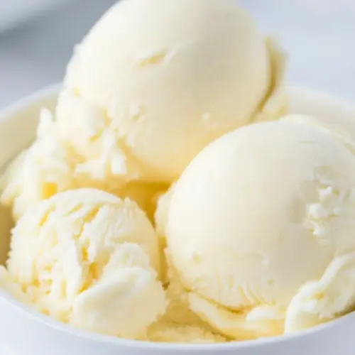 Sugar Free Frozen Yogurt